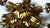 Gold Plated Metal Flowers with Leaves Chandelier 6 Lights from Banci Firenze, 1970s For Sale - Image 6 of 12