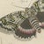 Bertuch, Underwing and Tiger Moths with Caterpillars, 1805, Print For Sale - Image 4 of 12