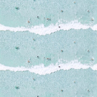 Mitchell Black Home Ocean Swimmers Prepasted Wallpaper For Sale