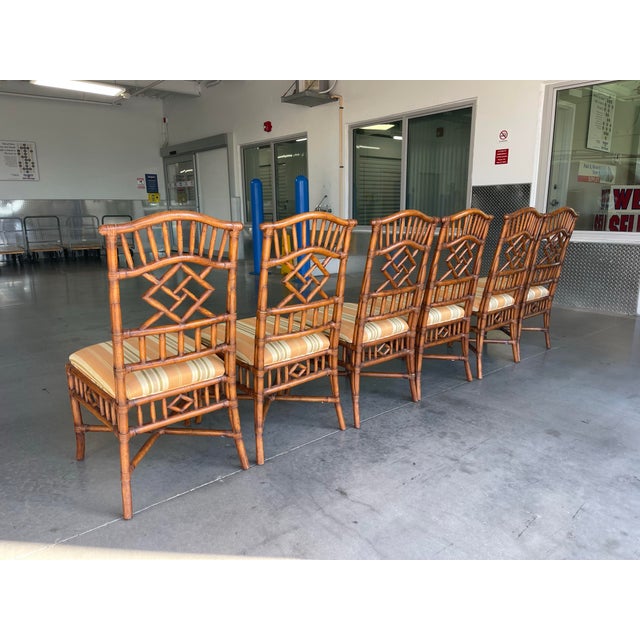 Fretwork Rattan Dining Chairs by Lexington – Set of 6 | Naples Style, Palm Beach Regency For Sale - Image 10 of 12