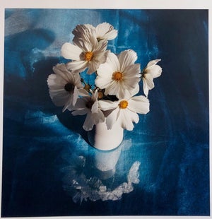 Peter C. Jones 1, White Cosmo, Cocktail, Large Format Photo 24X20 Color Photograph Beach House, 2004