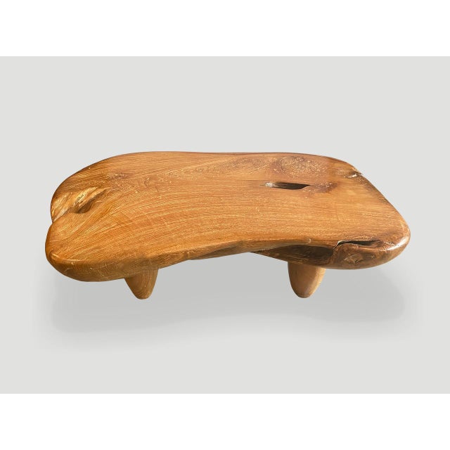Andrianna Shamaris Mid Century Couture Teak Wood Coffee Table For Sale - Image 13 of 18