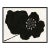 Hellebores (var. 2) by Susan Hable, Black Frame For Sale