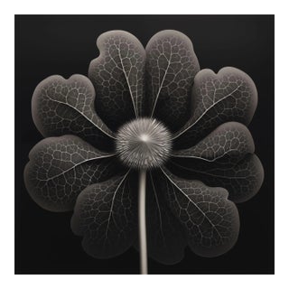 Kalmia Angustifolia Flower — Vintage Botanical Photography Print For Sale