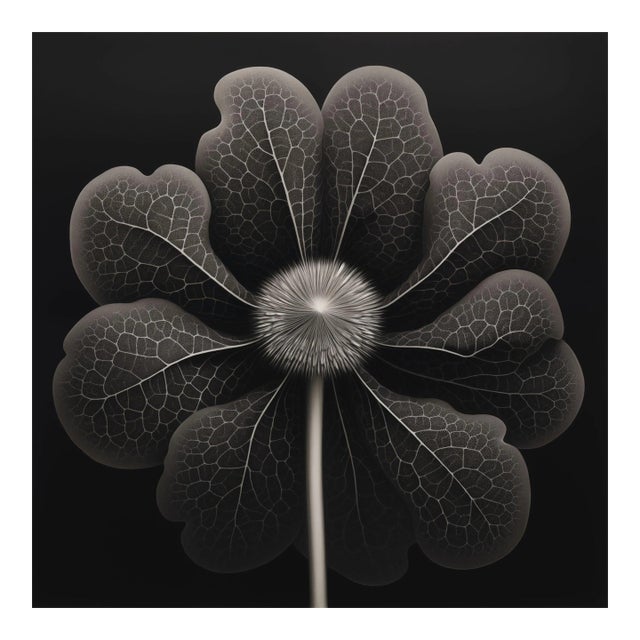 Kalmia Angustifolia Flower — Vintage Botanical Photography Print For Sale