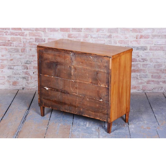 Biedermeier Cabinet in Cherry, Spruce & Ebony, Czech, 1820s For Sale - Image 17 of 18