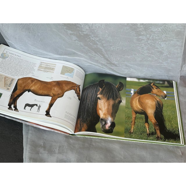 Horse Photography Coffee Table Book Country House Equestrian Home Decor For Sale - Image 10 of 12