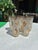 Up for consideration is a beautiful vintage collection of Libby Golden Foliage highball frosted cocktail glasses. These...