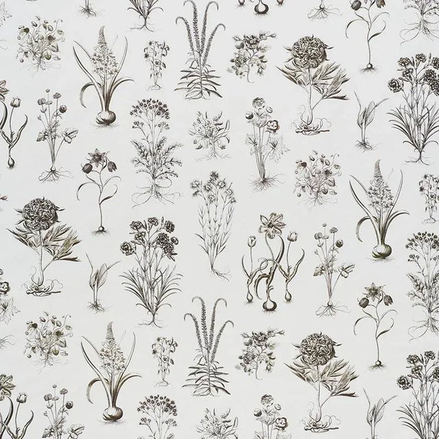 Inspired by 18th-century scientific illustrations of plants, this chic and versatile cotton print combines a small, user-...