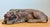 Neoclassical Vintage Hand Carved Lion For Sale - Image 3 of 12