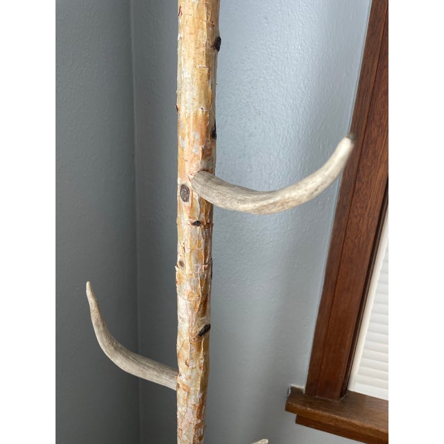 Cabinet Knobs Birch Antler Coat Hook Late 20th Century Vintage