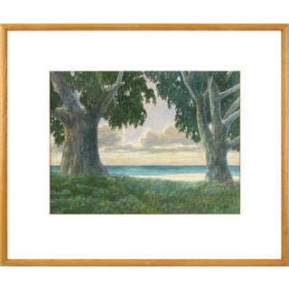 Late 20th Century "Eucalyptus Trees, Sunset" Coastal Landscape Watercolor Painting by Kipp Stewart, Framed For Sale