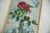 :: "Geranium" oil painting by Chappaqua, NY artist Grace B. Keogh. The colors and details in this floral piece are...