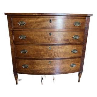 Antique American Hepplewhite Bow Front Chest of Drawers — Tiger Maple, Original Thistle Brass Hardware, C. 1800 For Sale