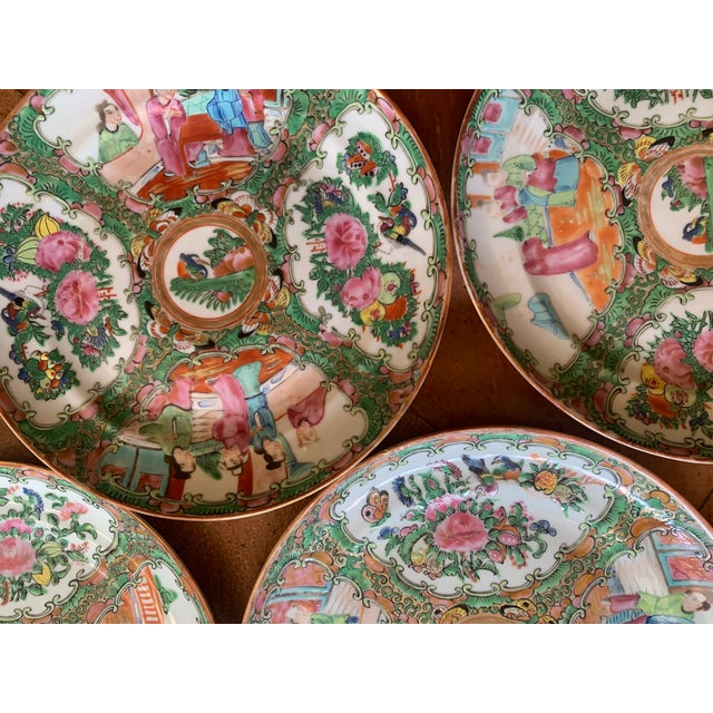 Rose Medallion Porcelain Plates, 19th Century - Set of Nine For Sale - Image 10 of 11
