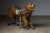 Behold this majestic antique carousel figure featuring a regal lion. Meticulously hand-carved from wood and mounted on a...