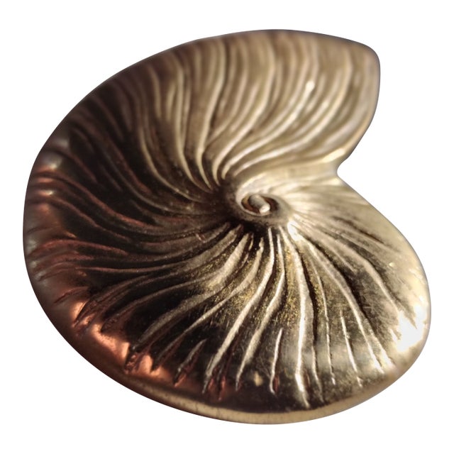 Vintage Brass Nautilus Shell Wall Hanging For Sale