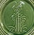 Late 20th Century Portuguese Palm Tree Majolica Plates- Set Of For Sale - Image 5 of 11
