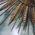 Gold Vintage Gilt Sunburst Wall Light with Textured Dome, 1950s For Sale - Image 8 of 14