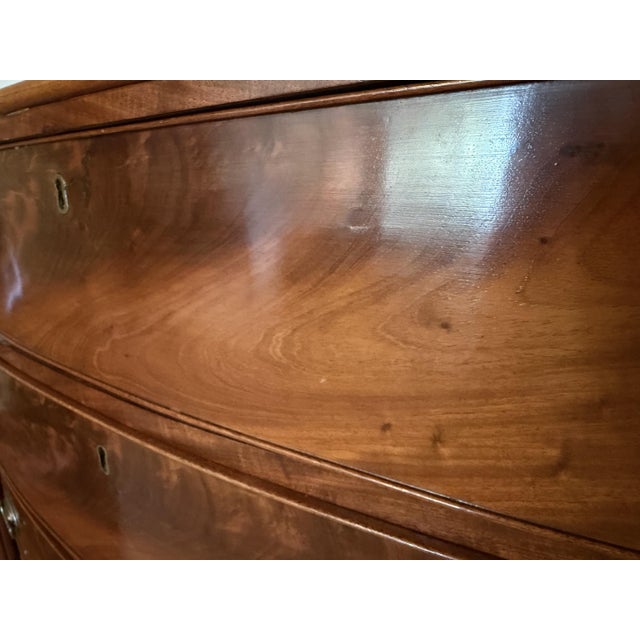 Early 19th Century Antique American Federal Bowfront Chest of Drawers, Flame Mahogany, C. 1820 For Sale - Image 5 of 15