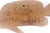 Vintage Hand Carved Wood Fish Wall Decor For Sale - Image 12 of 12