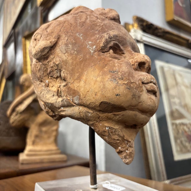19th Century Terracotta Putto Angel Head Sculpture on Acrylic Base For Sale - Image 6 of 10