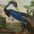 Antique English Bamboo and Grasscloth Table With a Bird Top For Sale - Image 10 of 17