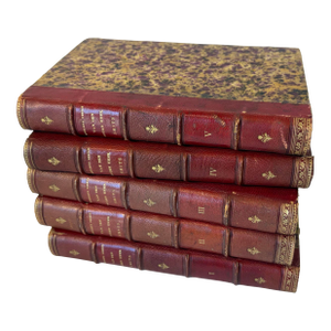 1877-79 Leather Bound “The Complete Works of the Good Lord Smits” French or Dutch Books - Set of 5