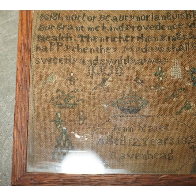 Gold Antique English Needlework Sampler by Ann Yates, 1824 For Sale - Image 8 of 11