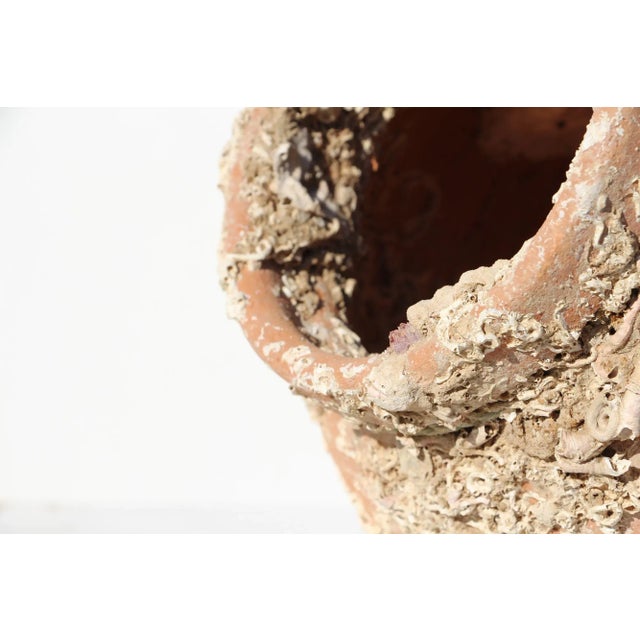 Brown 19th Century Antique Terracotta Octopus Trap Undersea Pot For Sale - Image 8 of 13