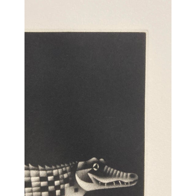 Mario Avati, Alligator, 1970, Mezzotint Print For Sale - Image 17 of 18