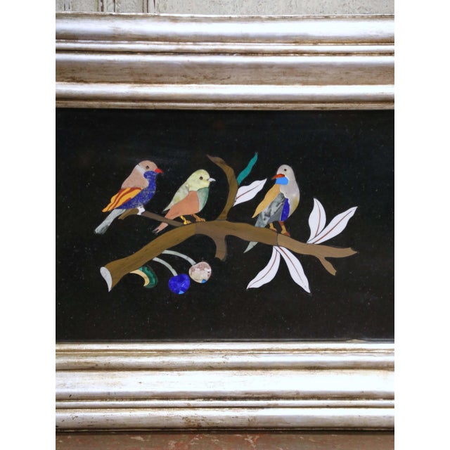 Mid-Century Italian Pietra Dura Bird Wall Plaques in Silvered Frames, Set of 4 For Sale - Image 4 of 18
