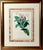Green Antique Botanical Print of the "Surinam Centropogon" by Sir Joseph Paxton For Sale - Image 8 of 8