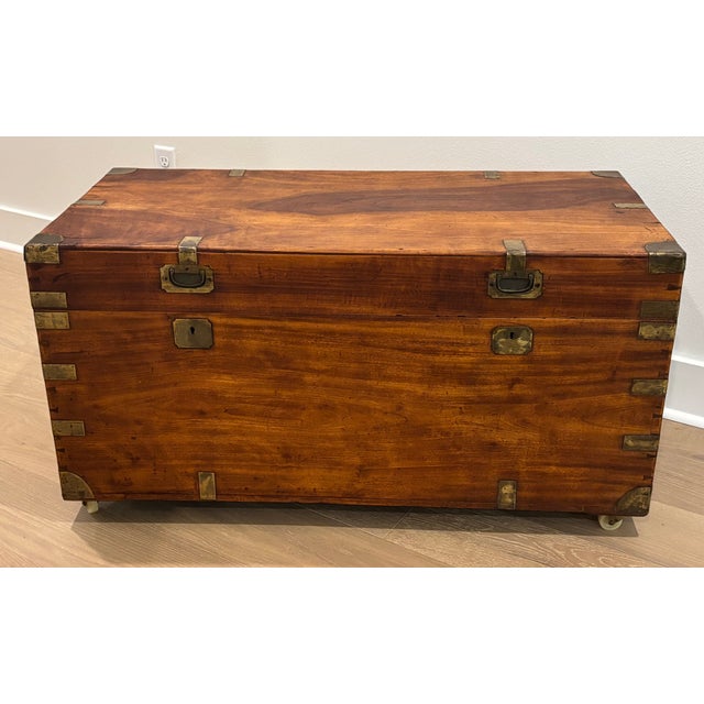 Contemporary Large 19th Century British Campaign Trunk in Brass Bound Camphor Wood For Sale - Image 3 of 15