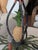 Late 20th Century Vintage British Colonial Pineapple & Faux Bamboo Chandelier — Artist-Repainted by Anne Yates Burst, Indies Landing, Winter Park Fl For Sale - Image 5 of 16
