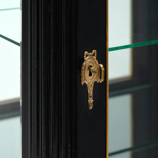Black Louis XVI French Ebonized Bookcase / Vitrine For Sale - Image 8 of 9