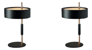 Table Lamps by Ostuni E Forti for Oluce, Set of 2