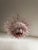 Murano Chandelier with Pink Palmette Glasses, 1990s For Sale - Image 17 of 18