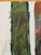 Wood My Redwood Tree, Painting by Lisa Lightman For Sale - Image 7 of 7