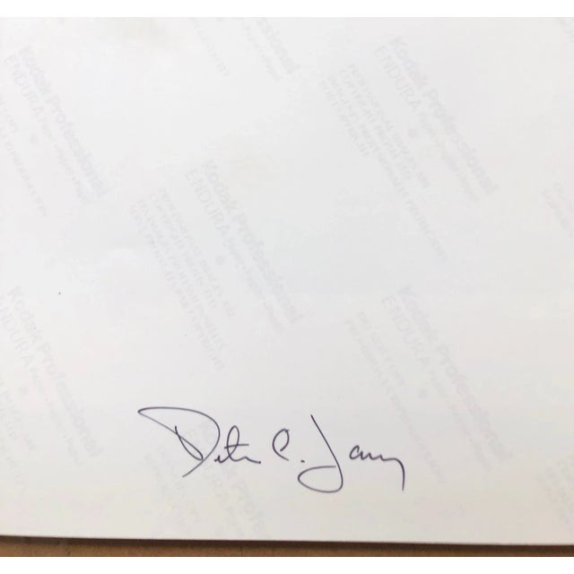 Peter C. Jones 1, Rising, Large Format Photo 24X20 Color Photograph Beach House, 2005 For Sale - Image 4 of 5