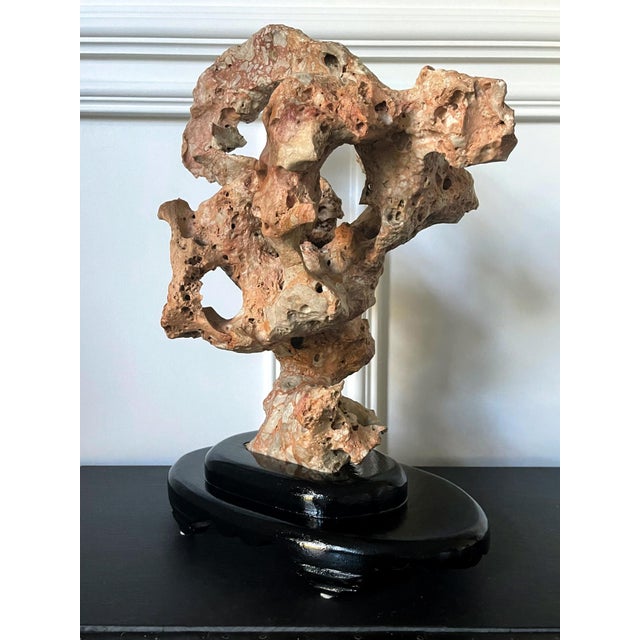 Chinese Taihu Scholar Stone Sculpture on Wood Stand For Sale - Image 4 of 15
