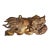 Hand Carved Antique Chinese Guardian Lion Wall Plaque Gilt Foo Dog Sculpture Asian Home Decor For Sale