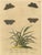 E. Albin, Butterflies on Grasses with Caterpillar, Hand-Colored Engraving, 1720 For Sale - Image 10 of 10
