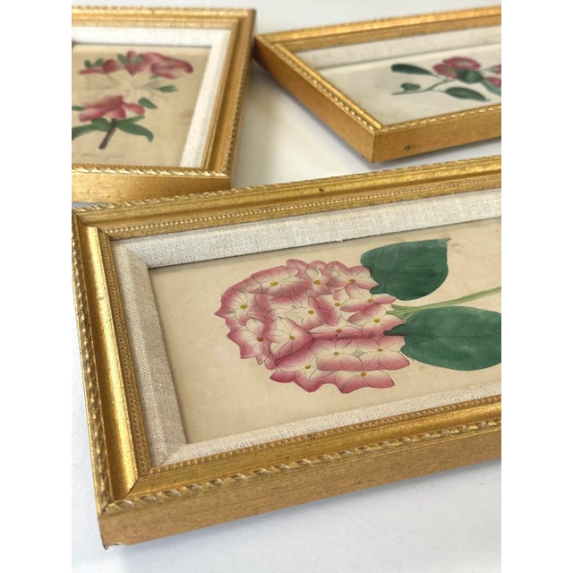 Linen Antique 19th Century Hand Painted Watercolor Victorian Botanical Prints in Gilt Frames For Sale - Image 8 of 9