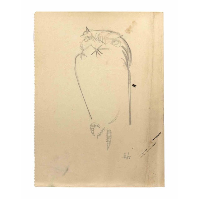 Modern Reynold Arnould, Owl, Drawing, Mid-20th Century For Sale - Image 3 of 3