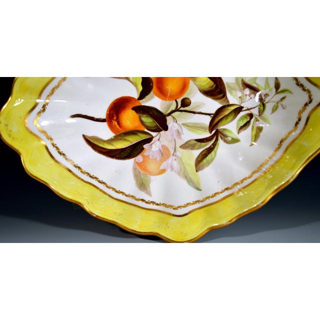 Derby Porcelain Late 18th Century Derby Porcelain Yellow-Ground Botanical Dish, "Orange Tree", Pattern 216 For Sale - Image 4 of 7
