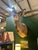 African 1970s Large Taxidermy Kudu Head With Curved Horns For Sale - Image 3 of 8