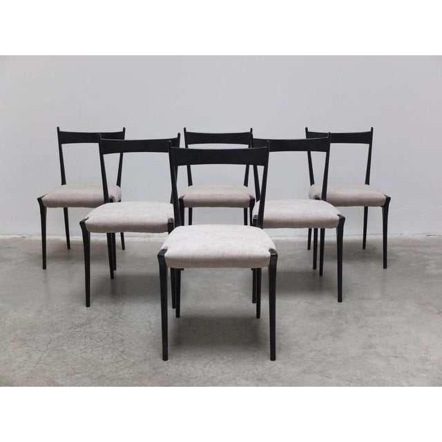 Alfred Hendrickx S11 Dining Chairs by Alfred Hendrickx for Belform, 1950s, Set of 6 For Sale - Image 4 of 18