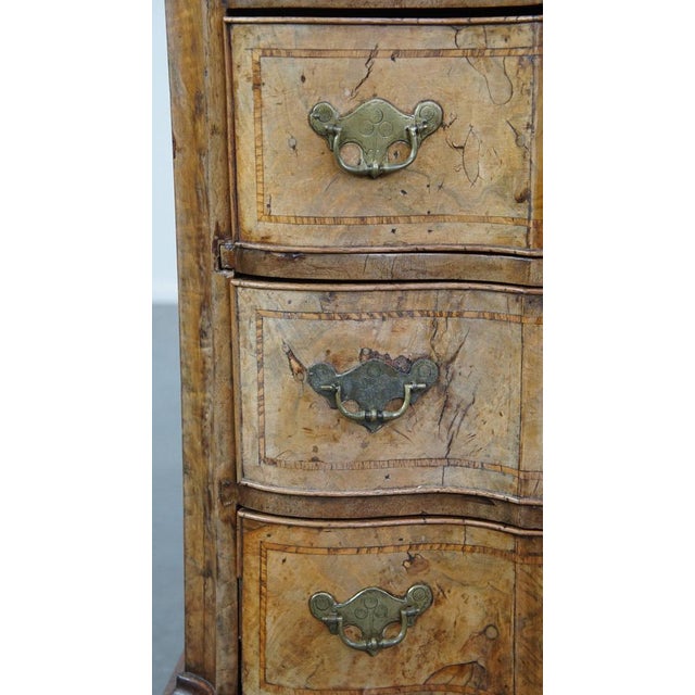 18th Century Baroque Organ-Curved Burr Walnut Wooden Chest of Drawers For Sale - Image 12 of 15