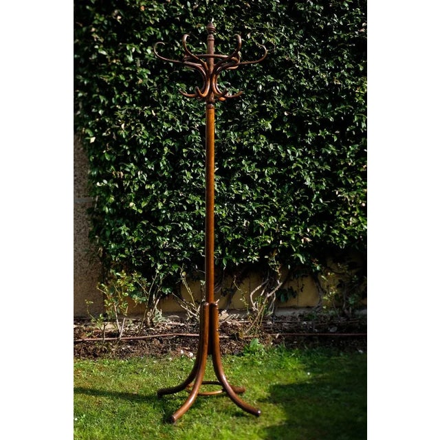 Thonet Czechoslovakian Coat Hanger by Michael Thonet, 1900s For Sale - Image 4 of 9